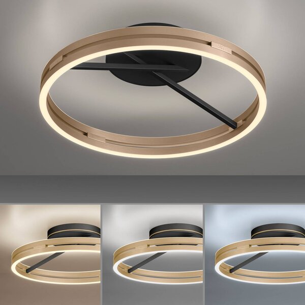 PURE Lampa sufitowa LED Loop, możliwość ściemniania, mosiężny / złoty, salon / jadalnia, aluminium, nowoczesny