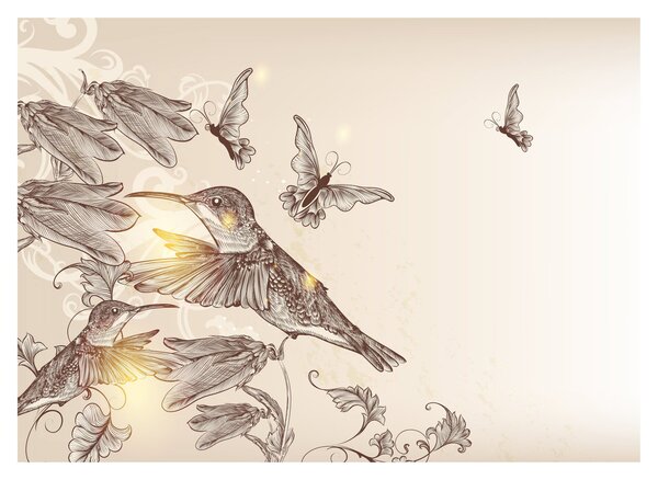 Obraz na szkle - Kolibry (70x50 cm)