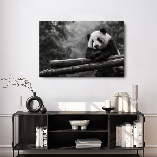 Obraz panda odpoczywająca na bambusie