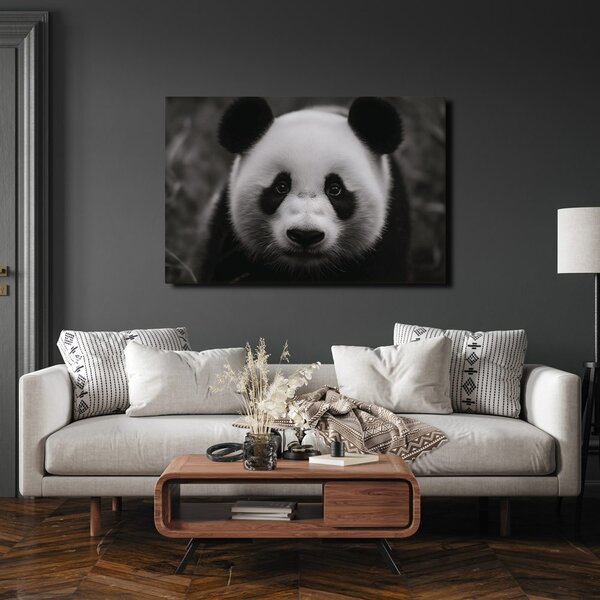 Obraz urocza panda w naturze