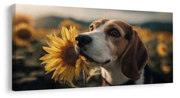 Obraz beagle ze słonecznikiem