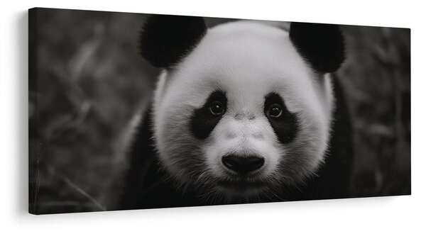 Obraz czarno-biała panda z uśmiechem