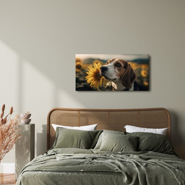 Obraz beagle ze słonecznikiem