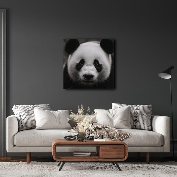 Obraz panda na czarnym tle
