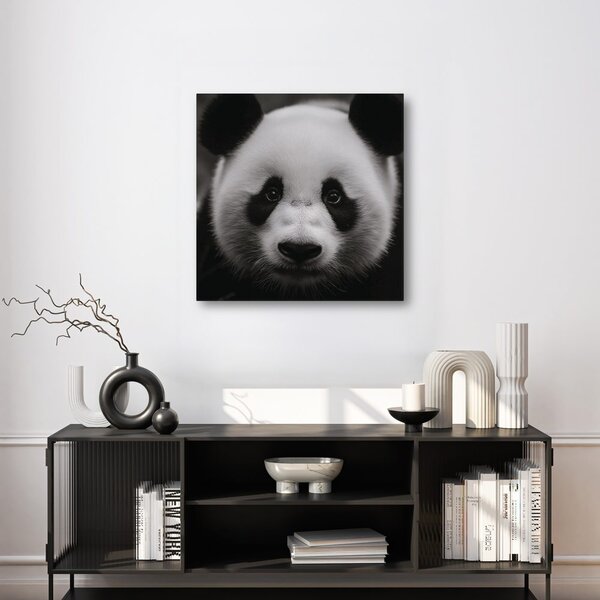 Obraz panda na czarnym tle