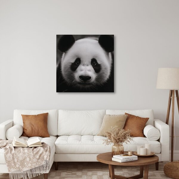 Obraz panda na czarnym tle