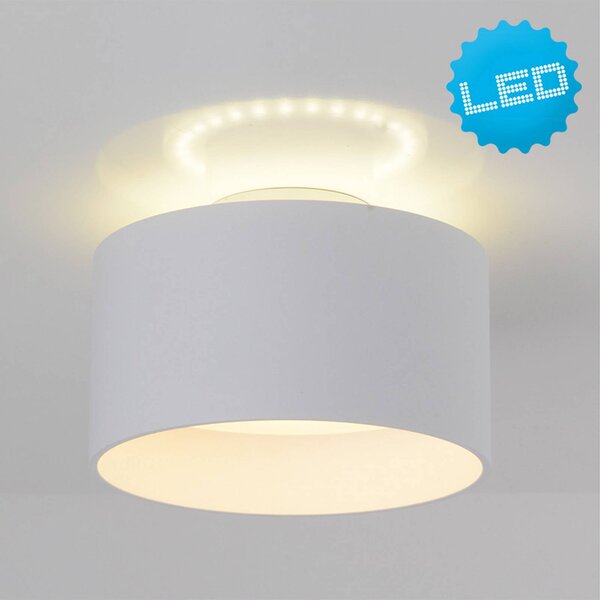 Näve Lampa sufitowa LED Trimes, możliwość ściemniania, biały / opal, salon / jadalnia, tworzywo sztuczne