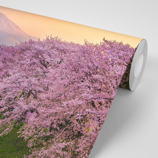 Fototapeta piękna Japonia