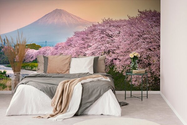 Fototapeta piękna Japonia