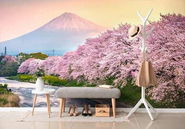 Fototapeta piękna Japonia