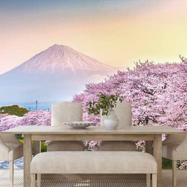 Fototapeta piękna Japonia