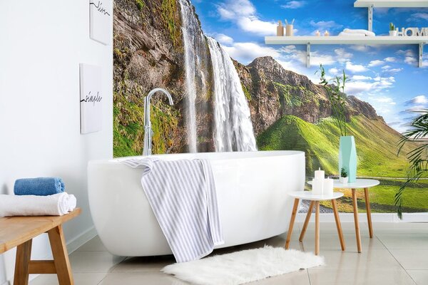 Fototapeta Wodospad Seljalandsfoss