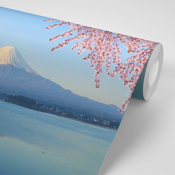 Fototapeta widok z jeziora na Fuji