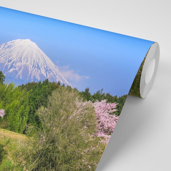 Fototapeta wulkan Fuji