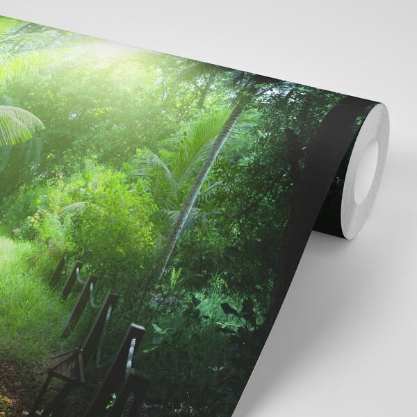 Fototapeta droga na wyspie Seszele