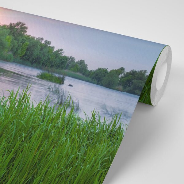 Fototapeta wschód słońca nad rzeką
