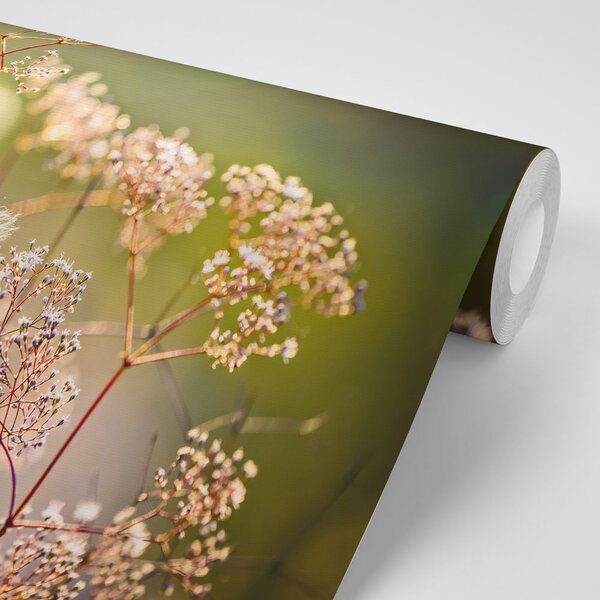 Fototapeta martwa natura kwiaty