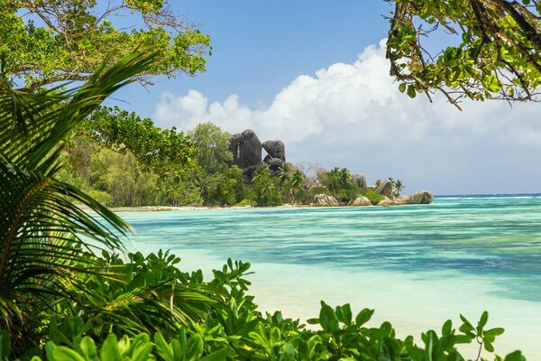 Fototapeta piękna plaża na wyspie La Digue