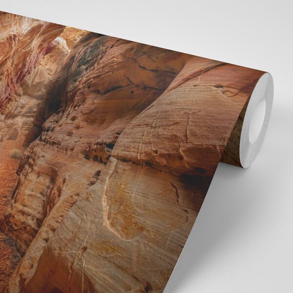 Fototapeta ścieżka przez Grand Canyonom