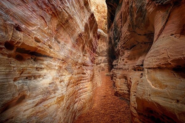 Fototapeta ścieżka przez Grand Canyonom