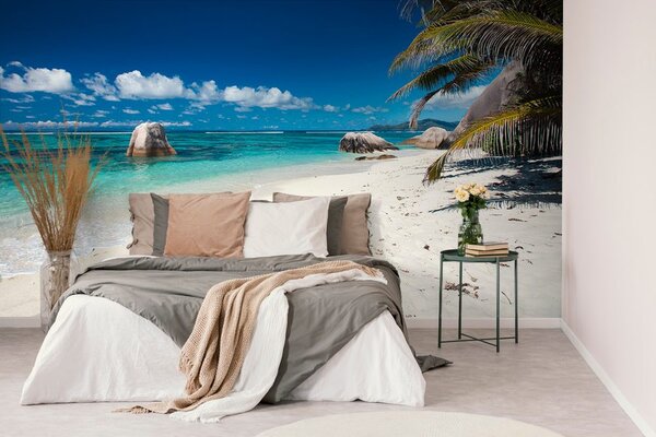 Fototapeta Plaża Anse Source