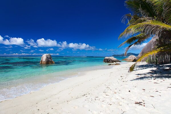 Fototapeta Plaża Anse Source