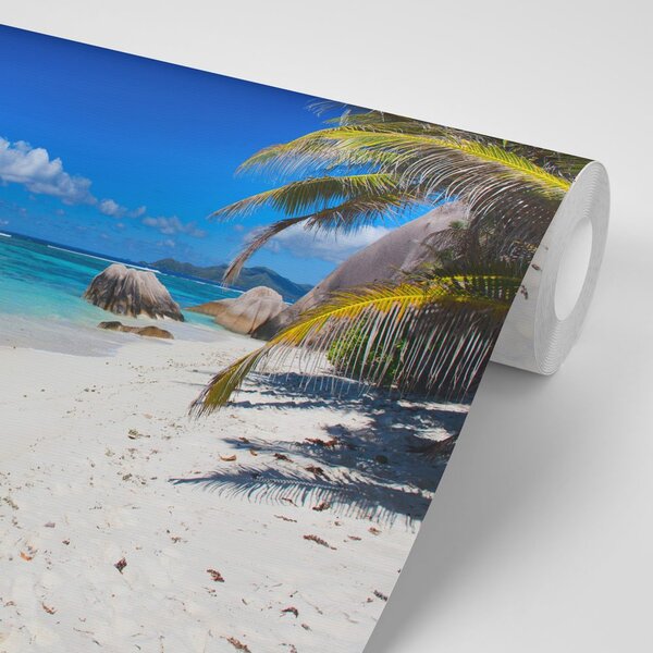 Fototapeta Plaża Anse Source