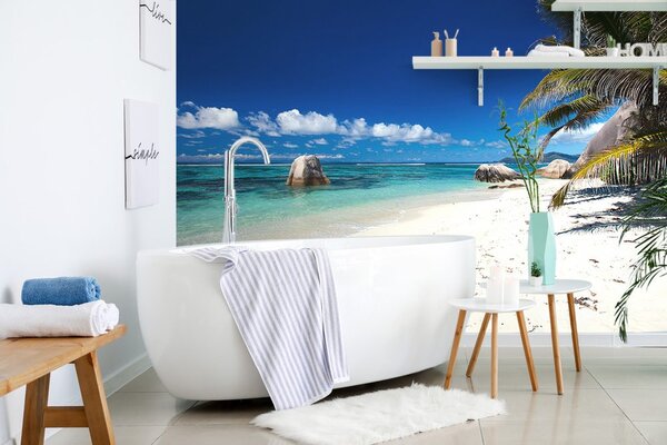 Fototapeta Plaża Anse Source