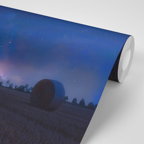 Fototapeta siano w świetle księżyca