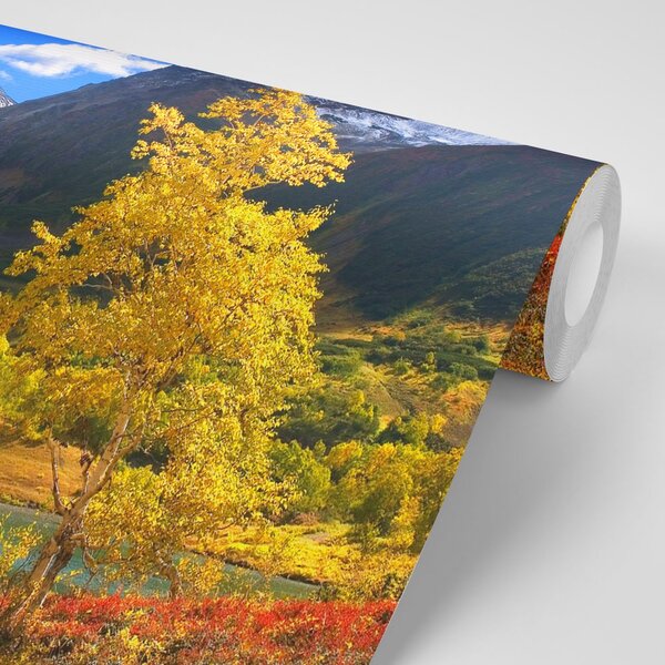 Fototapeta piękna przyroda na Kamczatce