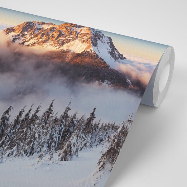 Fototapeta Karkonosze pod śniegiem