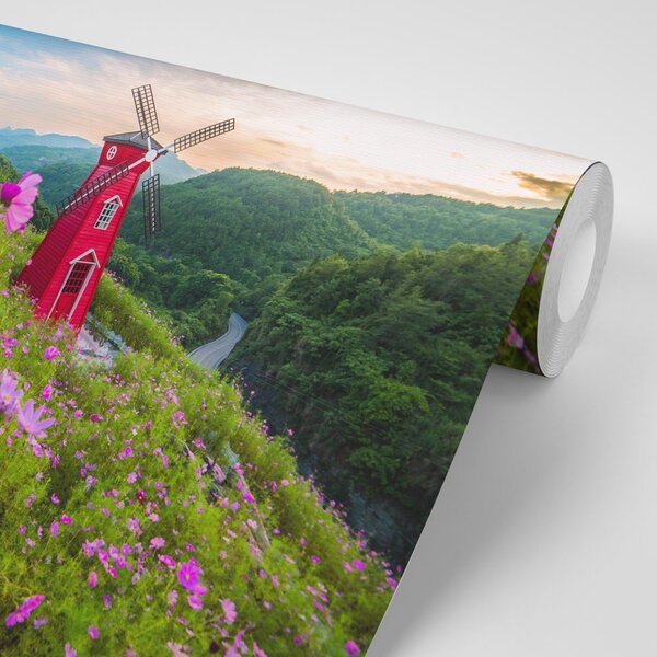 Fototapeta łąka przy magicznym młynie