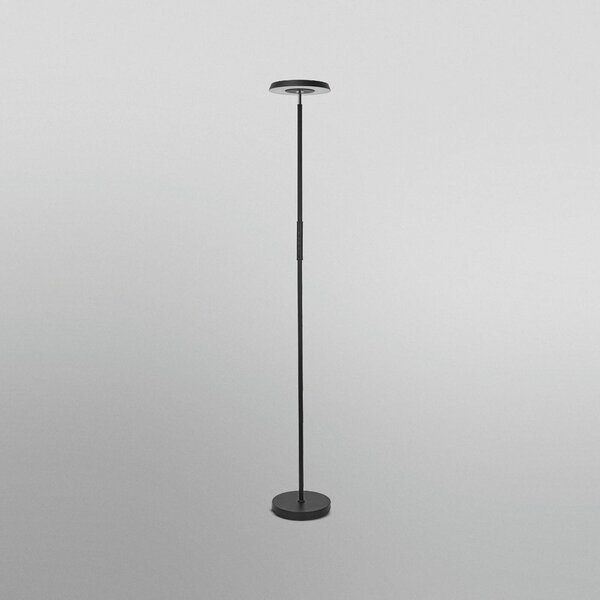 OSRAM SMART+ Lampa stojąca LED WiFi, czarna, up/down, RGB CCT możliwość ściemniania, czarny, salon / jadalnia, metal, nowoczesny