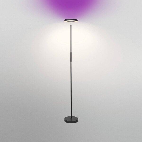 OSRAM SMART+ Lampa stojąca LED WiFi, czarna, up/down, RGB CCT możliwość ściemniania, czarny, salon / jadalnia, metal, nowoczesny
