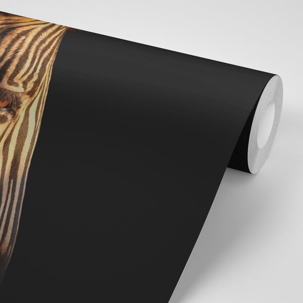 Fototapeta ortret zebry