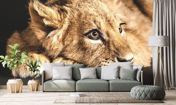 Fototapeta lwiątko