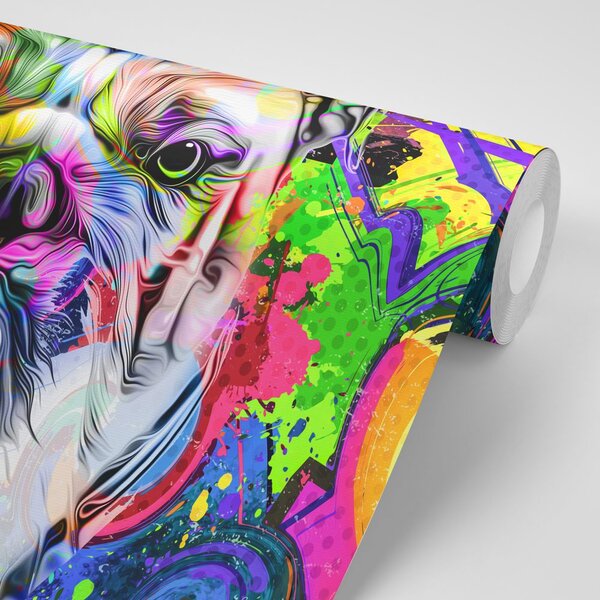 Tapeta buldog pop-art