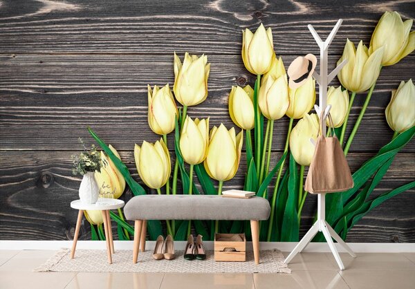 Fototapeta żółte tulipany na drewnianym tle