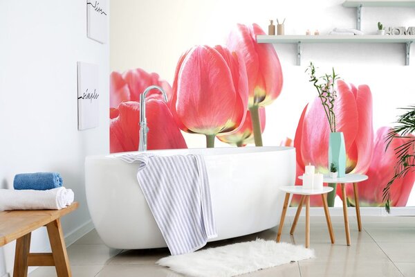 Fototapeta czerwone tulipany polne