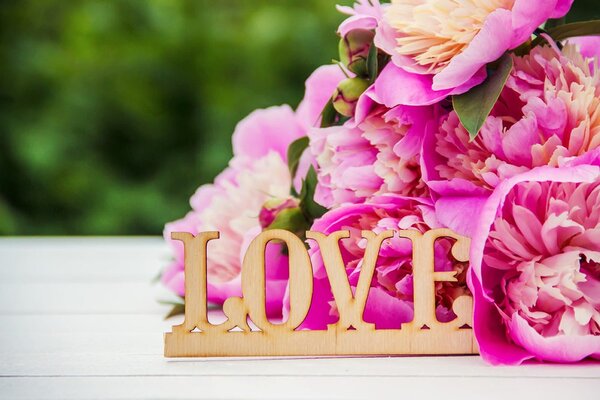 Fototapeta piwonie z napisem Love
