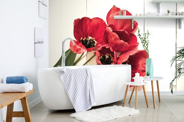 Fototapeta rozkwitnięte czerwone tulipany