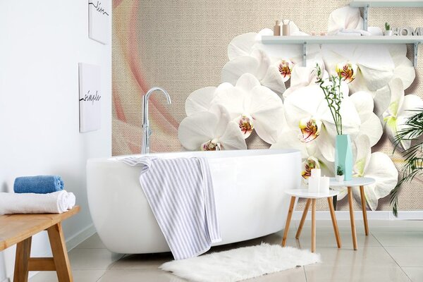 Tapeta biała orchidea na płótnie