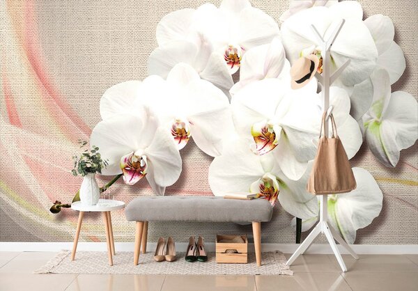 Tapeta biała orchidea na płótnie