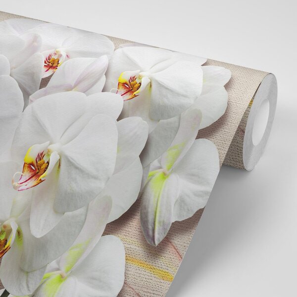Tapeta biała orchidea na płótnie