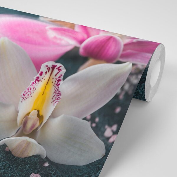 Fototapeta piękna szczegółowa orchidea