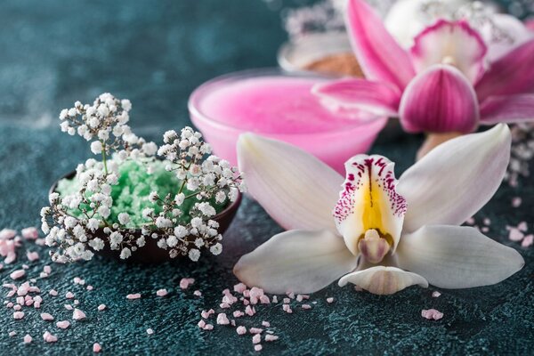 Fototapeta piękna szczegółowa orchidea