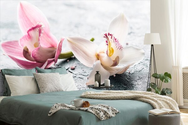 Fototapeta kwiaty orchidei