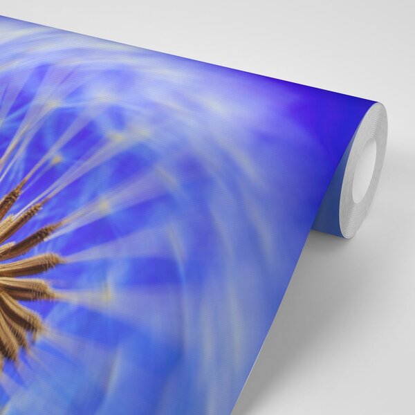 Tapeta dmuchawiec z fioletowym akcentem