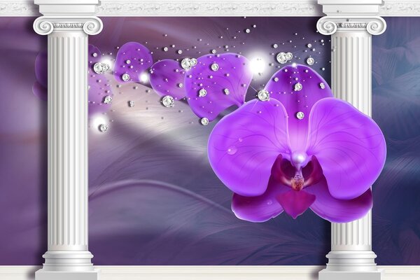 Tapeta orchidea przy greckich kolumnach
