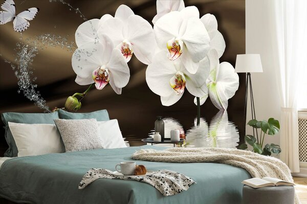 Tapeta orchidea i motyl